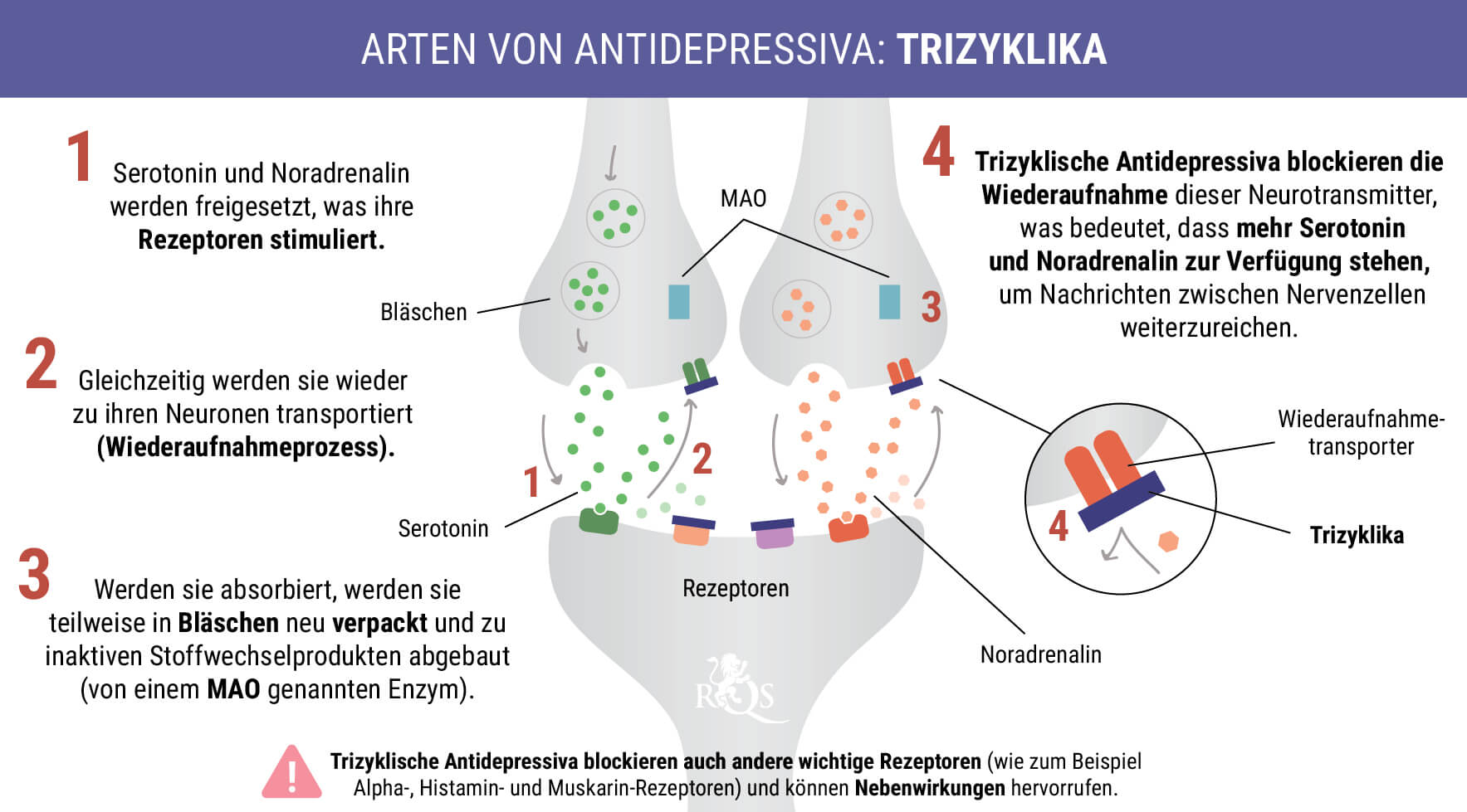 Wie Cannabis mit Antidepressiva interagiert RQS Blog
